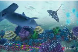 华体app官方下载入口免费版